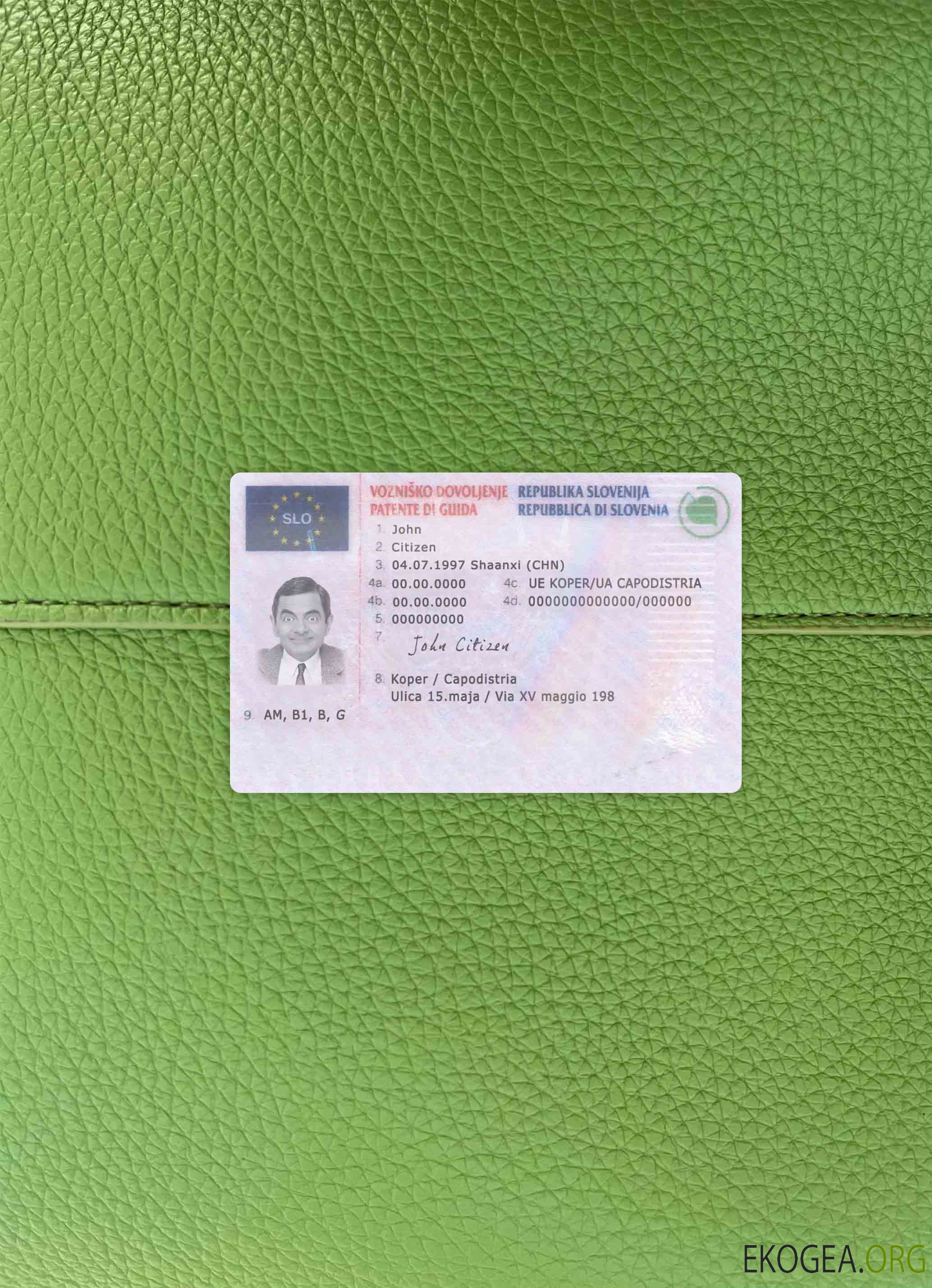 Photolook du permis de conduire slovène AVANT